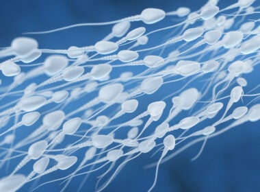 low sperm count, male infertility crisis, male fertility, male infertility, falling sperm count