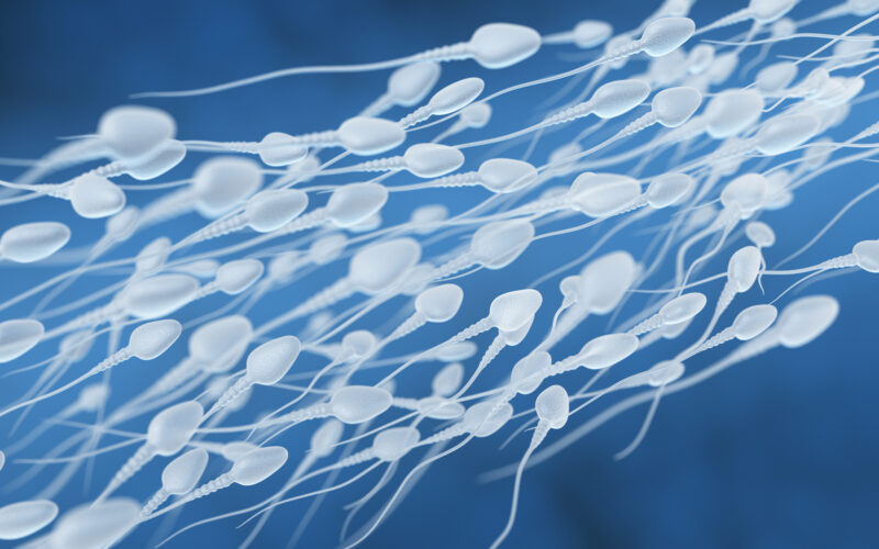 recuento bajo de espermatozoides, crisis de infertilidad masculina, fertilidad masculina, infertilidad masculina, caída del recuento de espermatozoides