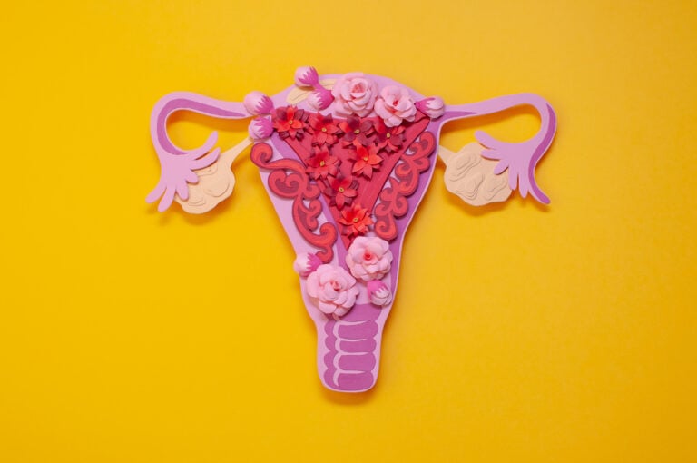 what could go wrong with your uterus, uterine fibroids, uterine prolapse, uterine congenital abnormalities, uterine cancer, dysmenorrhea,