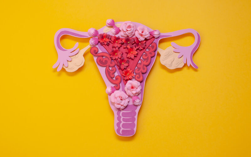 qué puede ir mal en su útero, fibromas uterinos, prolapso uterino, anomalías congénitas uterinas, cáncer uterino, dismenorrea,