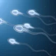 natural male infertility treatment options, male infertility treatment, male infertility treatment options, treat male infertility, treat male infertility naturally, improve sperm quality, natural ways to improve sperm quality, natural ways to improve sperm health