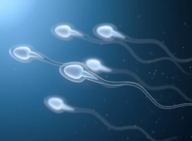 natural male infertility treatment options, male infertility treatment, male infertility treatment options, treat male infertility, treat male infertility naturally, improve sperm quality, natural ways to improve sperm quality, natural ways to improve sperm health