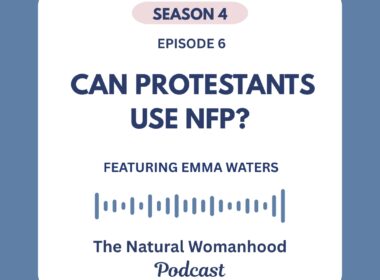 los protestantes pueden usar la pfn, los protestantes y la anticoncepción, enseñanza protestante sobre la anticoncepción, los protestantes y la píldora