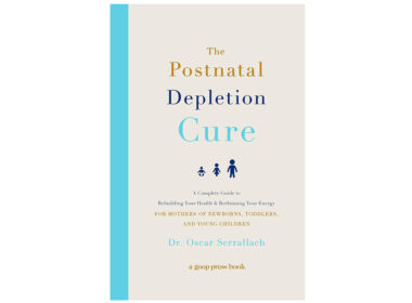 the postnatal depletion cure, the postnatal depletion cure book, postnatal depletion cure book review, postnatal depletion cure, postnatal depletion cure review,