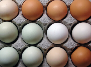 Huevos
