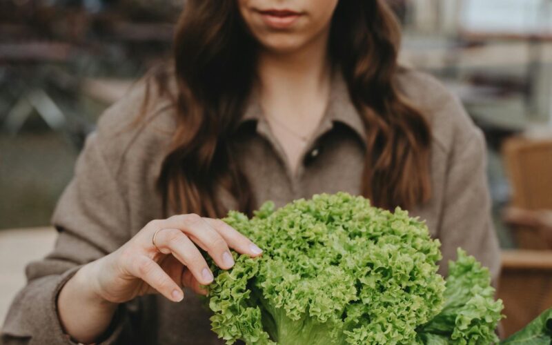 uterine fibroids, natural treatments, phytoprogestins, plant-based treatments